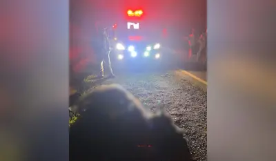 Vaca morre atropelada na Rodovia Euclides Figueiredo em Teodoro Sampaio