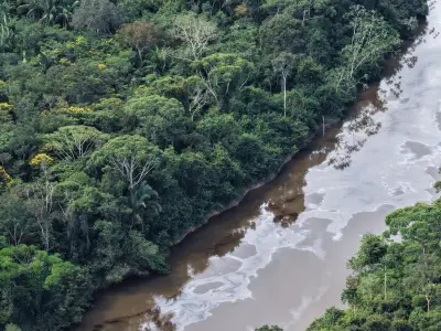 Vazamento de óleo na BR-163 ameaça rio Tapajós no Pará