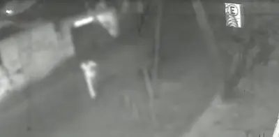 Vândalos derrubam portão a chutes em BH; suspeita é de desafio na internet