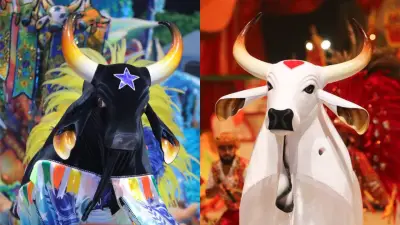 Votação elege melhores itens do Festival de Parintins
