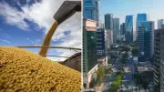 27 toneladas de soja com nota fiscal falsa da Faria Lima são apreendidas no PR