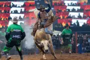38ª Festa do Peão de Americana começa com R$ 350 mil em prêmios
