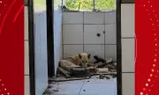 Adolescente é apreendido por maus-tratos a cães em escola desativada na Bahia