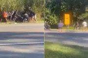 Adolescentes derrubam casal de moto e agridem vítimas em SP