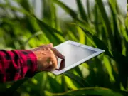 Agro 5.0 impulsiona tecnologia e estratégia no setor agrícola