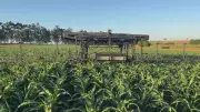 Agro 5.0: tecnologias reduzem erros e desperdício no campo
