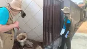 Alerta de dengue em Araraquara: índice de 3,2 acende sinal vermelho