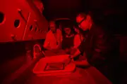 Alunos do IMS aprendem técnica fotográfica do século XIX com ovos, ouro e prata