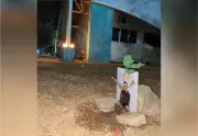 Amigos e familiares plantam jatobá em homenagem a pesquisador indígena Mairu Karajá