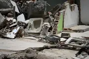 Animais não preveem terremotos, diz estudo com 130 espécies