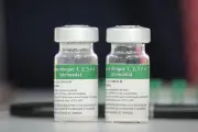 Anvisa cria grupo para avaliar vacina da dengue do Butantan