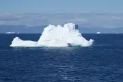 Aquecimento global quadruplica liberação de icebergs na Groenlândia