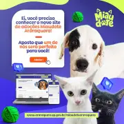 Araraquara lança primeiro site municipal de adoção de pets