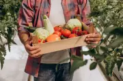 Araucária credencia produtores rurais para alimentação escolar até 30 de junho