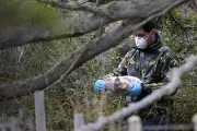 Argentina amplia busca por hantavírus para Mendoza após surto fatal em cruzeiro