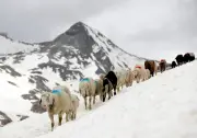 Argentina e Áustria: leis opostas na proteção de glaciares