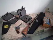Armas de colecionador apreendidas em caso de violência doméstica em SP
