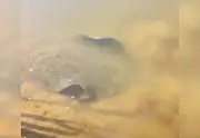 Arraia-maçã gigante é flagrada por banhistas no rio Araguaia em Xambioá