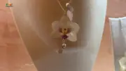 Artesãs do Piauí transformam flores do Cerrado em biojoias e cerâmica