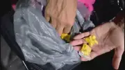Assessora do GDF é presa com ecstasy e cocaína dentro do carro