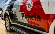 Ataque de pitbull deixa quatro feridos em Guaiçara (SP); tutor preso