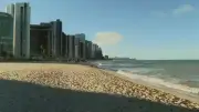 Ataques de tubarão em Pernambuco: fatores naturais e riscos