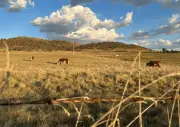 Austrália alerta para El Niño intenso e risco de seca e chuvas