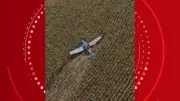 Avião de pequeno porte cai em área rural de Marialva, PR