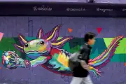 Axolote vira mascote da Copa no México, mas gera polêmica