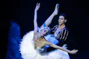 Balé Lago dos Cisnes gratuito em Cuiabá com orquestra ao vivo
