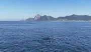 Baleias jubarte encantam com saltos na Praia de Itaipuaçu, em Maricá