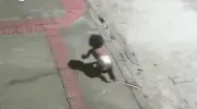 Bebê encontrada engatinhando sozinha na rua: mãe alega que deixou com filho adolescente