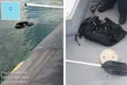 Bombeiros encontram corpo no mar de Ilhabela; vítima pode ser homem que caiu de moto aquática