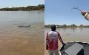 Boto é fisgado acidentalmente durante pesca esportiva no Rio Araguaia