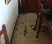Brasileiro relata medo e susto com terremoto de magnitude 7,5 na Venezuela
