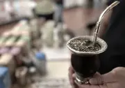 Buenos Aires sedia 1º Concurso Mundial de Erva Mate com 460 amostras