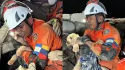 Cachorra resgatada com vida após 5 dias sob escombros na Venezuela