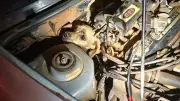 Cachorro preso em motor de carro é resgatado em Araguari