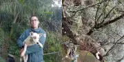 Cachorro é resgatado após cair em penhasco de 30 metros em SC