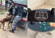 Cadela 'Fúria' ajuda PM a achar arma e drogas em carro em Boa Vista