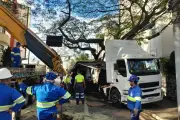 Caminhão bate em árvore e interdita avenida São João em São José