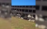 Caminhão com 30 bois tomba e interdita rodovia em Guararapes