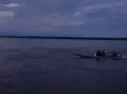 Cardume de jaraquis salta em canoa no Amazonas; vídeo impressiona