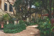 CASACOR São Paulo 2026: Mente e Coração no Parque da Água Branca