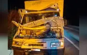 Cavaleiro e cavalo são atropelados por caminhão na SP-264 em Pilar do Sul