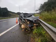 Cavalo morre atropelado por carro na BR-393 em Barra do Piraí