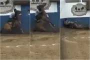 Cavalo morre durante vaquejada em Caicó, no RN