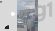 Cavalo é transportado com cabeça para fora de Kombi em Igarassu