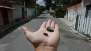 Ceará reduz mortes violentas em 48,7% em maio de 2026
