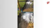 Chuva de granizo atinge Manhuaçu e danifica viveiros de café